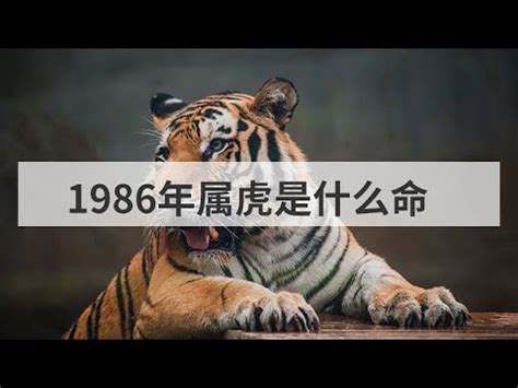 1986年屬虎